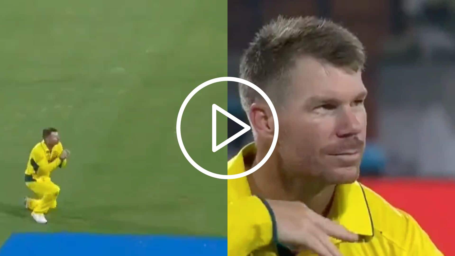 [Watch] David Warner Does A ‘Pushpa’ In World Cup After Abdullah Shafique Wicket